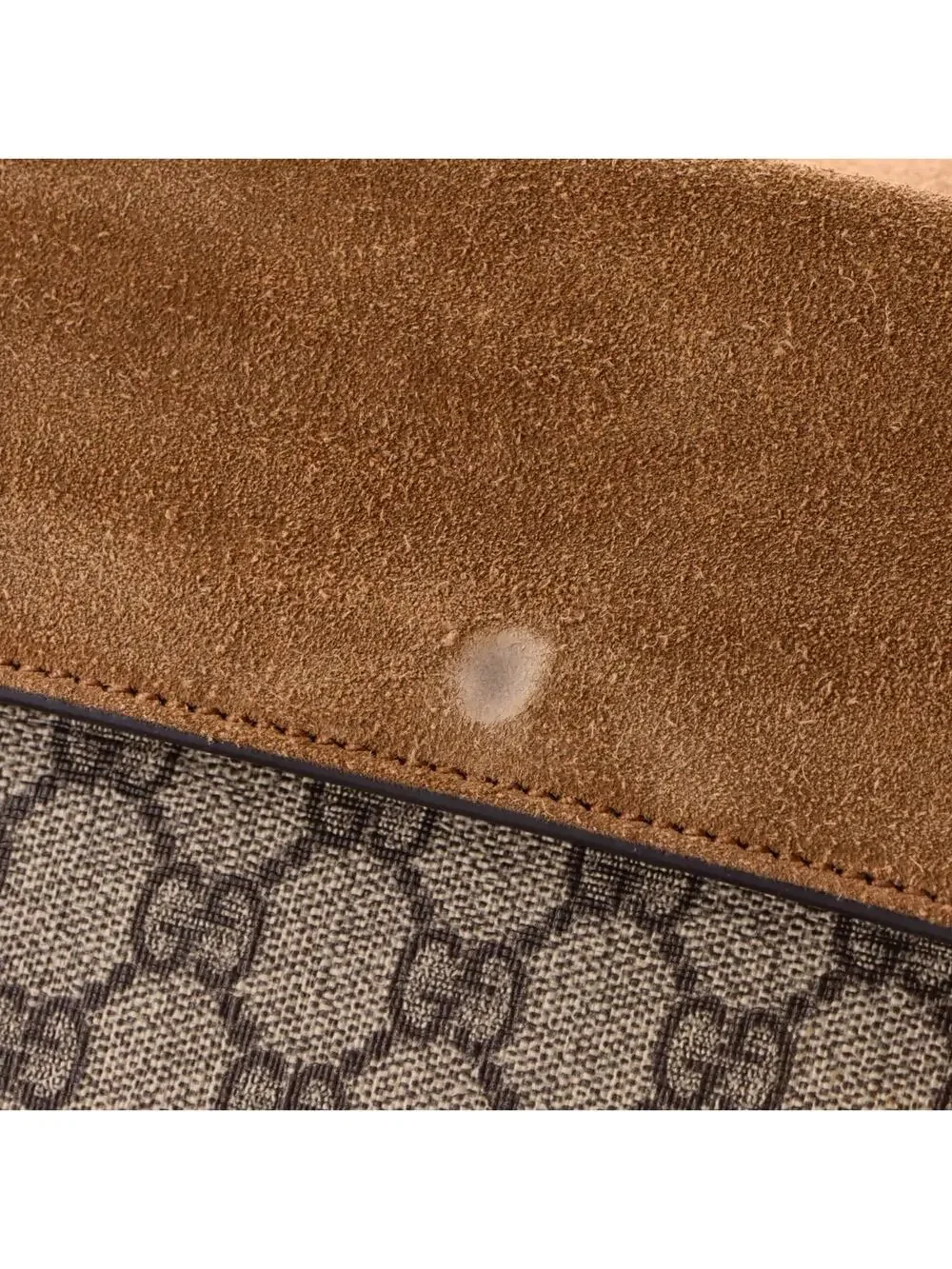 Gucci Dionysus Bag Gg Coated Canvas #340679G14B
